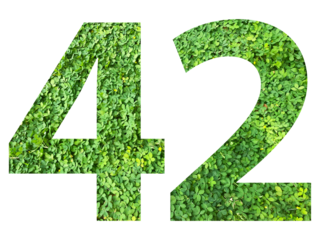 The shape of the number 42 is made of green grass isolated on transparent background. Go green concept.