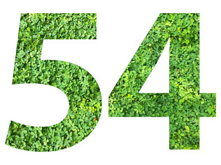 The shape of the number 54 is made of green grass isolated on transparent background. Go green concept.