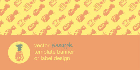 Vector seamless pattern with color hand drawn pineapple ornament. Healthy food idea banner template design. Organic ananas label template. Fruit and berries doodles for natural cosmetic design.