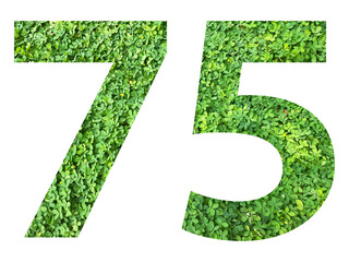 The shape of the number 75 is made of green grass isolated on transparent background. Go green concept.