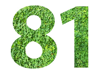 The shape of the number 81 is made of green grass isolated on transparent background. Go green...