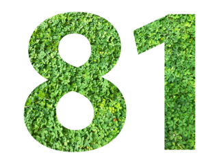 The shape of the number 81 is made of green grass isolated on transparent background. Go green concept.