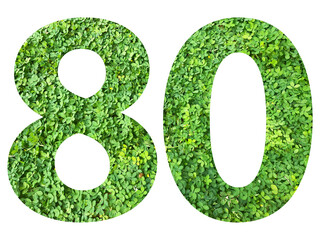The shape of the number 80 is made of green grass isolated on transparent background. Go green...