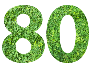 The shape of the number 80 is made of green grass isolated on transparent background. Go green concept.