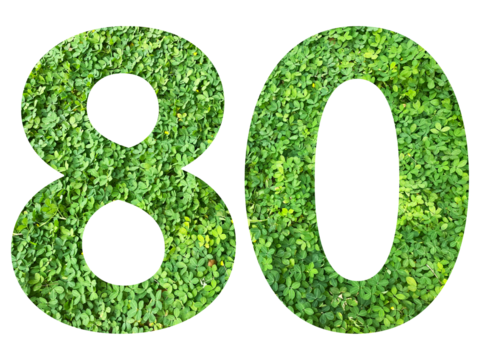 The shape of the number 80 is made of green grass isolated on transparent background. Go green concept. - Powered by Adobe