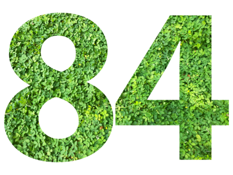 The shape of the number 84 is made of green grass isolated on transparent background. Go green concept.