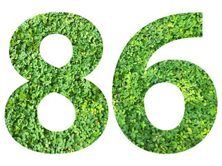 The shape of the number 86 is made of green grass isolated on transparent background. Go green...