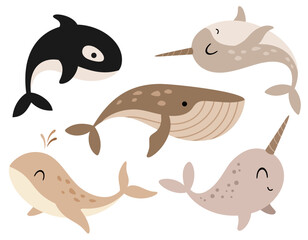 Arctic clipart with whale, narwhal, killer whale in cartoon flat style. Vector illustration