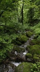 mountain stream