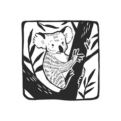 Vector hand-drawn illustration of a koala in nature. A framed sketch with a wild Australian animal. © mashikomo
