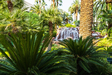 Tropical scenery of the Treasure Island Casino Hotel in Las Vegas, Nevada, USA. © Volodymyr