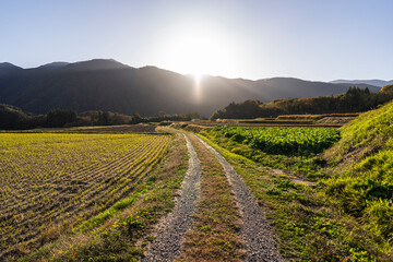 夕暮れの日本の田園風景