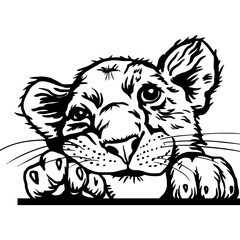 Peeking Lion Cub - Funny Peek Animal - face head isolated on white