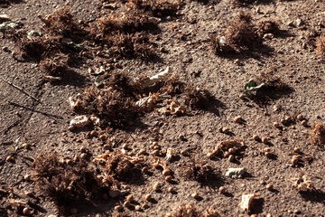 A pile of soil on the earth's surface