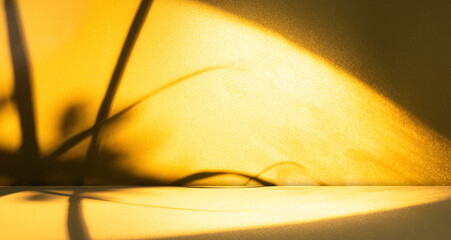 Yellow Background wall Room Shadow Leaves Kitchen 3d Studio Podium Solid Bg Mockup Product Scene Backdrop Empty Texture Stage Bar Floor Display Podium Summer Gradient Template Abstract Cement Scene.
