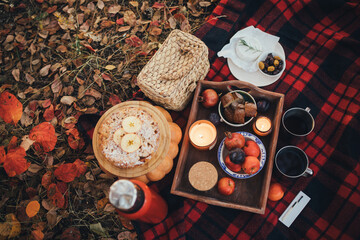 Cozy autumn picnic in a forest: tea, pie and fresh fruits on the red plaid.