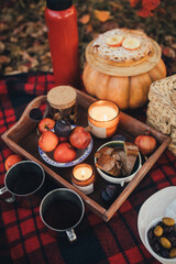 Cozy autumn picnic in a forest: tea, pie and fresh fruits on the red plaid.