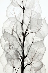An abstract depiction of a tree with ethereal, transparent leaves set against a clean white background, offering an imaginative touch to your creative content. Illustration