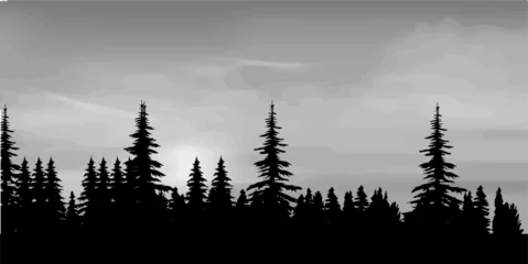 Keuken foto achterwand Mistig bos black and white landscape background