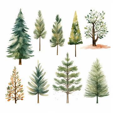 Set of simple watercolor trees in doodle style