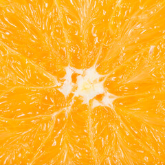 macro photo of an orange fruit