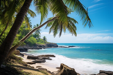 background view of coconut trees on the beach