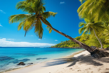 background view of coconut trees on the beach