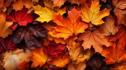 Naklejka na ściany i meble autumn leaves background generated by AI tool 