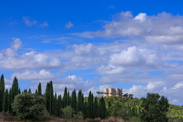 Apulia landscape in Italy: Alta Murgia National Park. In the background Castel del Monte.