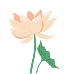 Pink lotus flower with a leaf, hand drawn isolated vector illustration