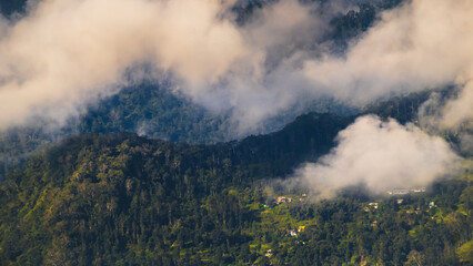Clouds passing over Himalayan mountains under thick  forest covers on the slopes of hills. Veils of white clouds drifting off the thick pine jungles while sunlight breaking through