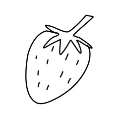 Doodle picture of strawberry. Hand drawn vector illustration.