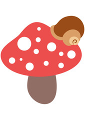 Funny snail on top of red mushroom