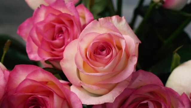 Fragrant and beautiful white and pink roses. Bouquet of flowers. Advertisement for a flower shop. Concept of beauty in nature.