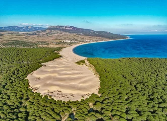 Foto auf Acrylglas Strand Bolonia, Tarifa, Spanien Bolonia dune