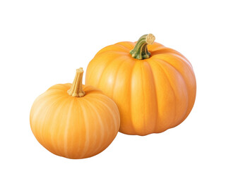 Obraz premium pumpkin isolated on transparent background