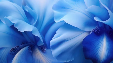 Poster spring blue flower background close illustration bloom floral, petal natural, colorful beauty spring blue flower background close © sevector