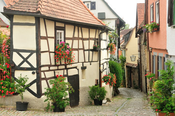Fototapeta na wymiar Houses in Bad Wimpfen with flowers and pots