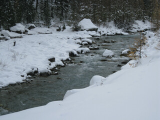 Snowy landscape