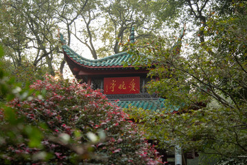 Chinese temple in the park