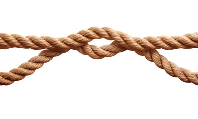Fototapeta premium Rope loop isolated on transparent background 