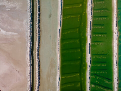 Aerial view of a salt mine with different hues of green and salt dividers running vertically through the image, Western Australia. Top down perspective.