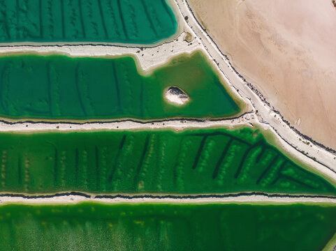 Aerial view of a salt mine with different hues of green and salt dividers running horizontally through the image, Western Australia. Top down perspective.