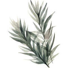 rustic watercolor pine leaf