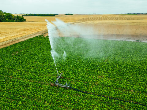 Aerial view of a sprinkler in a field in countryside at sunset, Jouy-en-Pithiverais, Loiret, France.