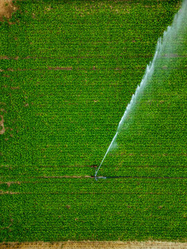 Aerial view of a sprinkler in a field in countryside at sunset, Jouy-en-Pithiverais, Loiret, France.