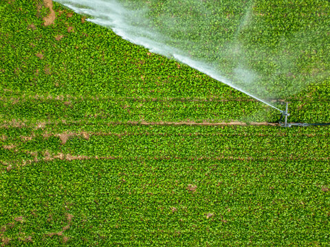 Aerial view of a sprinkler in a field in countryside at sunset, Jouy-en-Pithiverais, Loiret, France.
