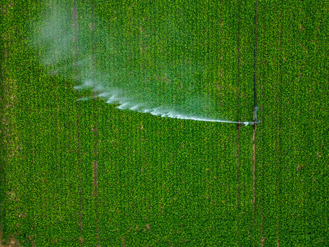 Aerial view of a sprinkler in a field in countryside at sunset, Jouy-en-Pithiverais, Loiret, France.