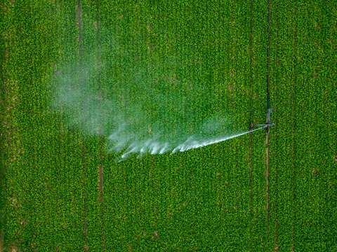 Aerial view of a sprinkler in a field in countryside at sunset, Jouy-en-Pithiverais, Loiret, France.
