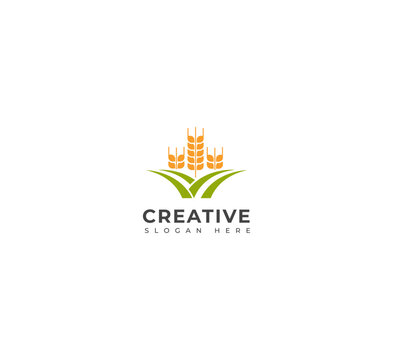 Wheat, Grain , Crop farm logo design template.